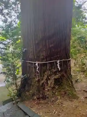 白山神社(宮城県)