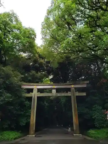 明治神宮の鳥居