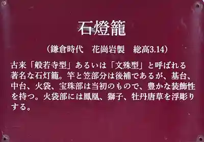 般若寺 ❁﻿コスモス寺❁(奈良県)