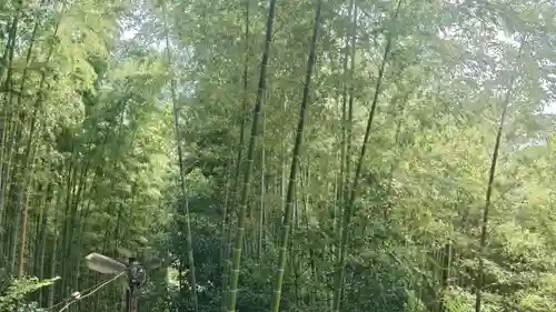  久延彦神社(奈良県)