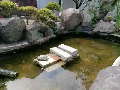 七尾神社の動物