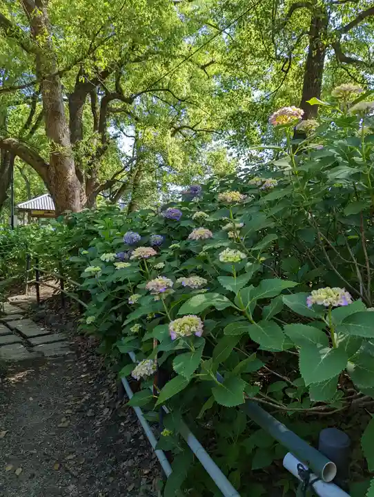 藤森神社(京都府)