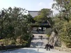 知恩院の山門