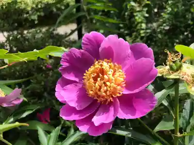 承福寺(福岡県)