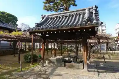 葛井寺の手水舎