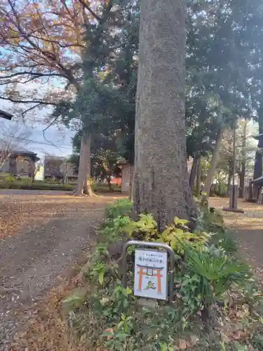 大谷場氷川神社(埼玉県)