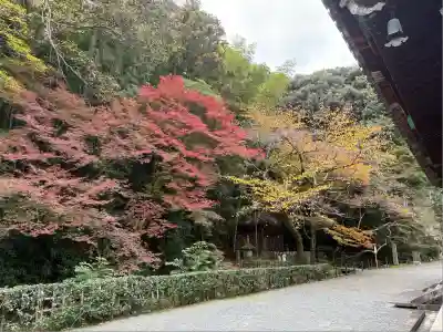 御寺 泉涌寺(京都府)