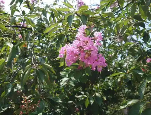 北野神社(東京都)