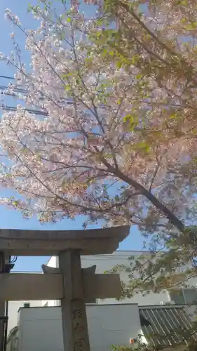 網屋天満宮の自然