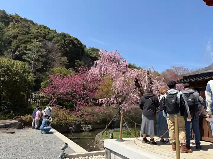 勝尾寺(大阪府)
