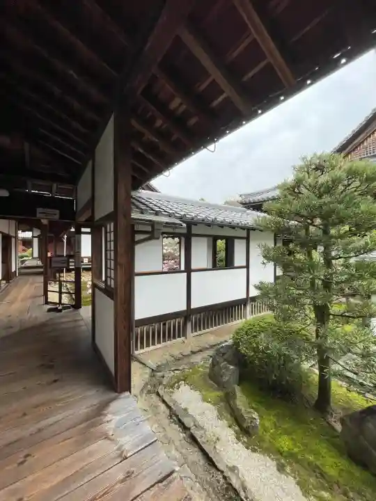 隨心院(随心院)(京都府)