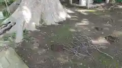 酒門神社(茨城県)