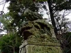 隠岐神社の狛犬