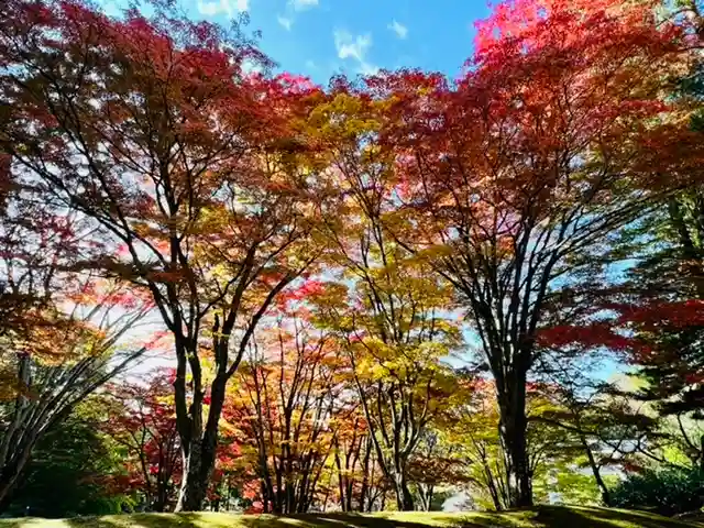 土津神社|こどもと出世の神さまの自然