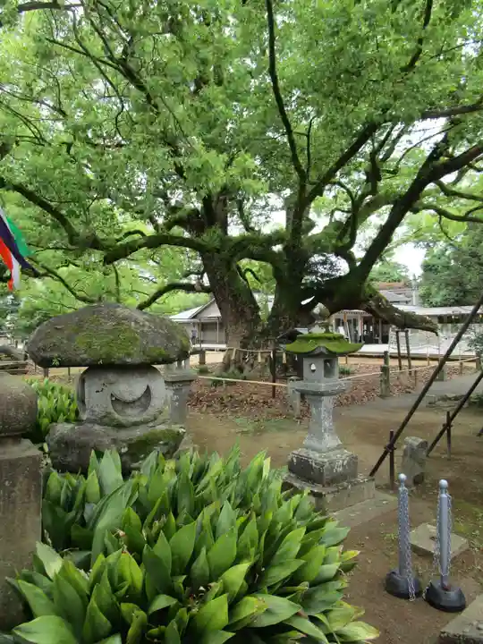 諫早神社(九州総守護 四面宮)(長崎県)