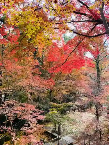 神峯山寺の自然