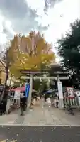 鳩森八幡神社の七五三参