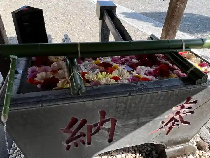 草加神社の手水舎