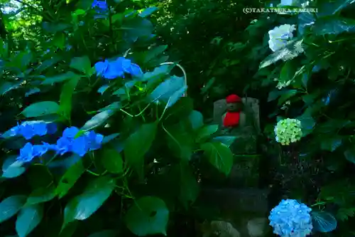 高幡不動尊　金剛寺(東京都)
