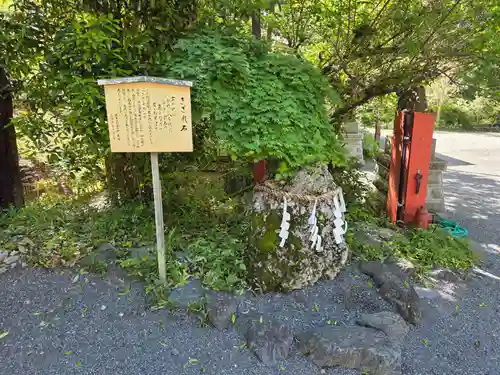 金刀比羅神社の自然