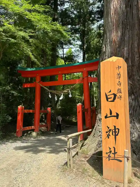 白山神社(岩手県)