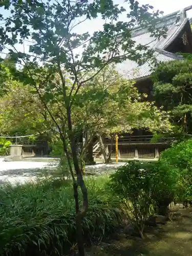 妙本寺の庭園