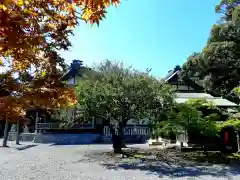 春日神社の自然