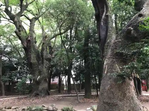 生田神社の自然