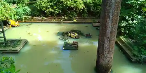 厳島神社の庭園