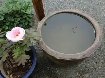 妙蓮寺(神奈川県)