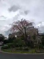 最勝寺(東京都)