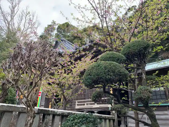 伊古奈比咩命神社の自然