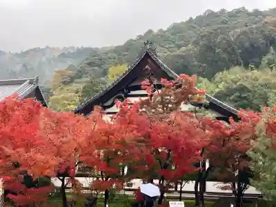 禅林寺（永観堂）(京都府)