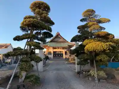 東岸寺の本殿・本堂
