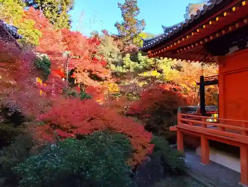 毘沙門堂門跡(京都府)