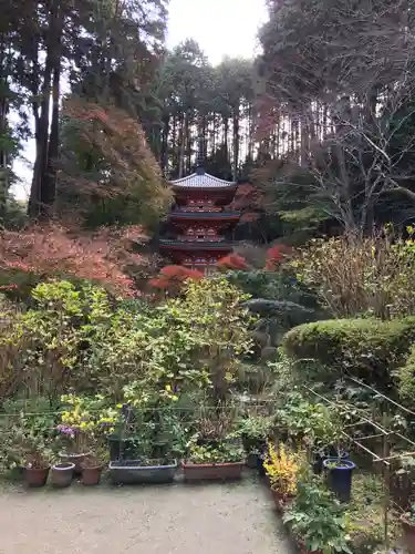 岩船寺の庭園