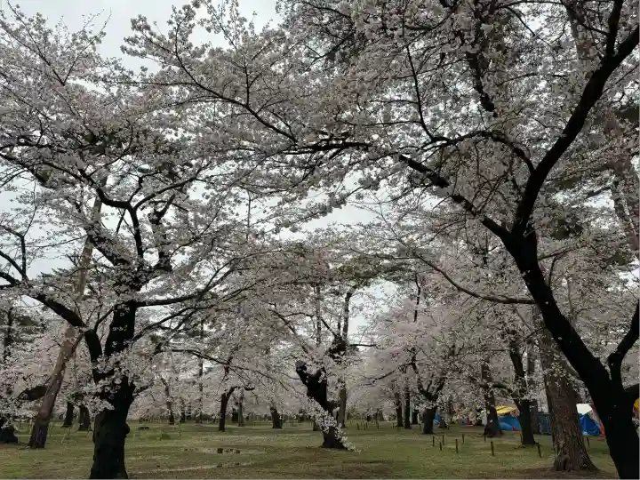 武蔵一宮氷川神社(埼玉県)