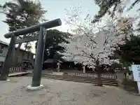 埼玉縣護國神社の{uncategorized: "未分類", other: "その他", undefined: "問題あり", building: "その他建物", grave: "お墓", sacred_gate: "鳥居", guardian: "狛犬", statue: "像", buddha: "仏像", history: "歴史", nature: "自然", garden: "庭園", animal: "動物", pagoda: "塔", temizu: "手水舎", mountain_gate: "山門・神門", sanctuary: "本殿・本堂", subordinate: "末社・摂社", art: "芸術", scenery: "景色", jizo: "地蔵", ema: "絵馬", goshuin: "御朱印", omikuji: "おみくじ", items: "授与品その他", amulet: "お守り", goshuincho: "御朱印帳", eats: "食事", festival: "お祭り", votive_dance: "神楽", shichigosan: "七五三参", wedding: "結婚式", experience: "体験その他", initially: "初詣", around: "周辺", anti_infection: "感染症対策"}