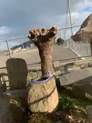 藤十郎大神社の手水