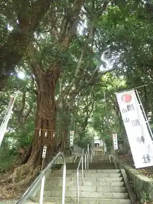 浅間神社のその他建物