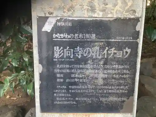 影向寺(神奈川県)