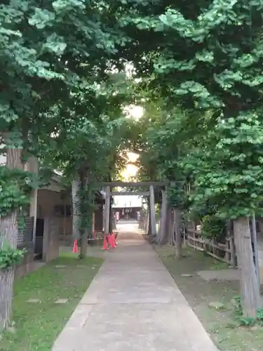 神明大神（中丸子神社）(神奈川県)
