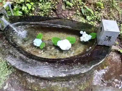 天台寺の手水舎