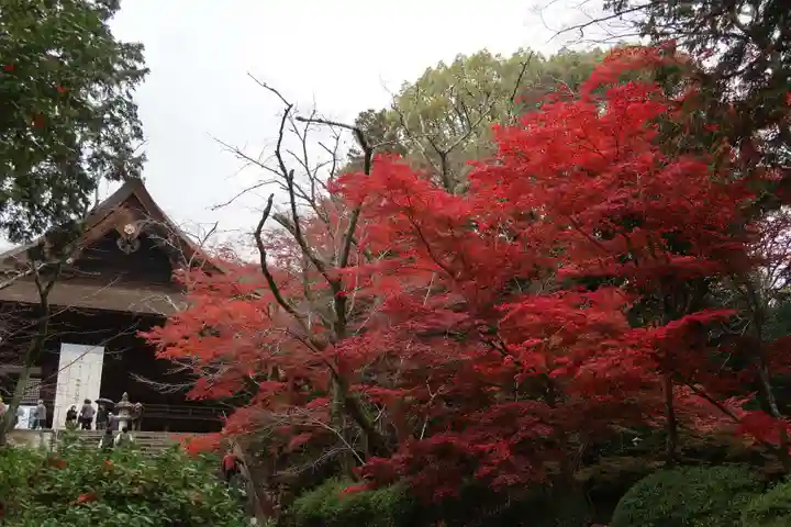 園城寺(三井寺)(滋賀県)