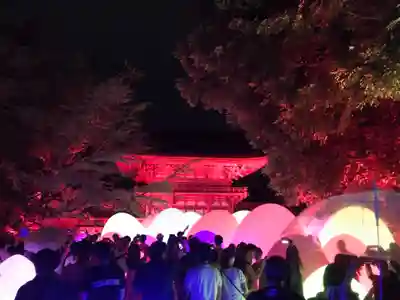 賀茂御祖神社（下鴨神社）の体験その他