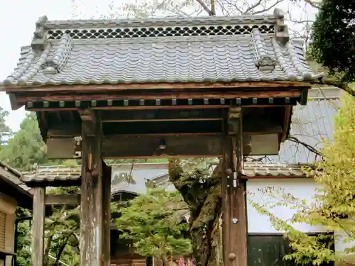 柳沢寺の山門