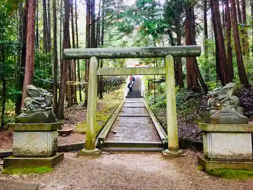 眞名井神社（籠神社奥宮）の鳥居