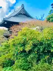 楽法寺（雨引観音）の建物その他