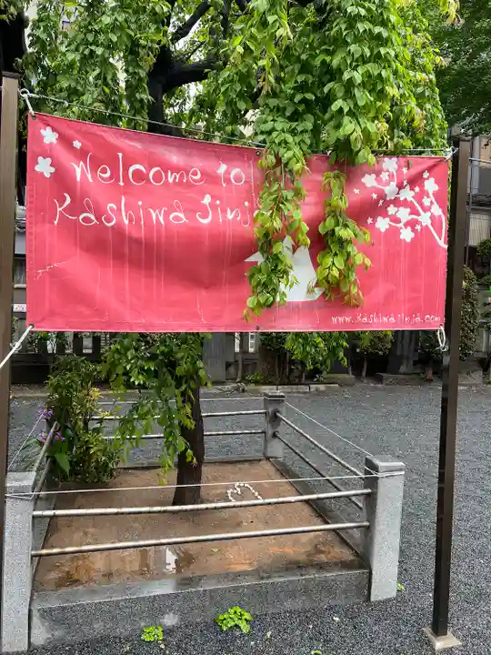 柏神社(千葉県)