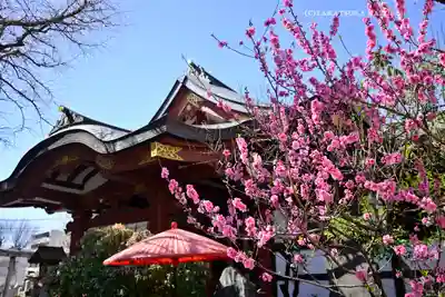 素盞雄神社(東京都)